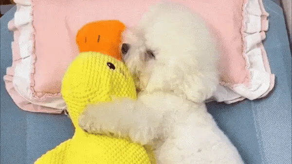 SoothingDuck™ | Anti-stress-anden til din hund