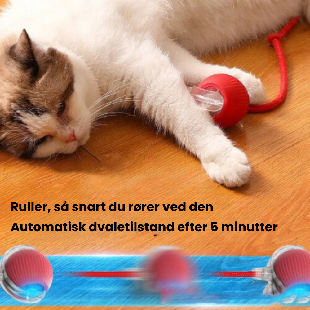 PurrPlay Ball™ | Stop kedsomhed og ødelagt inventar hos din kat
