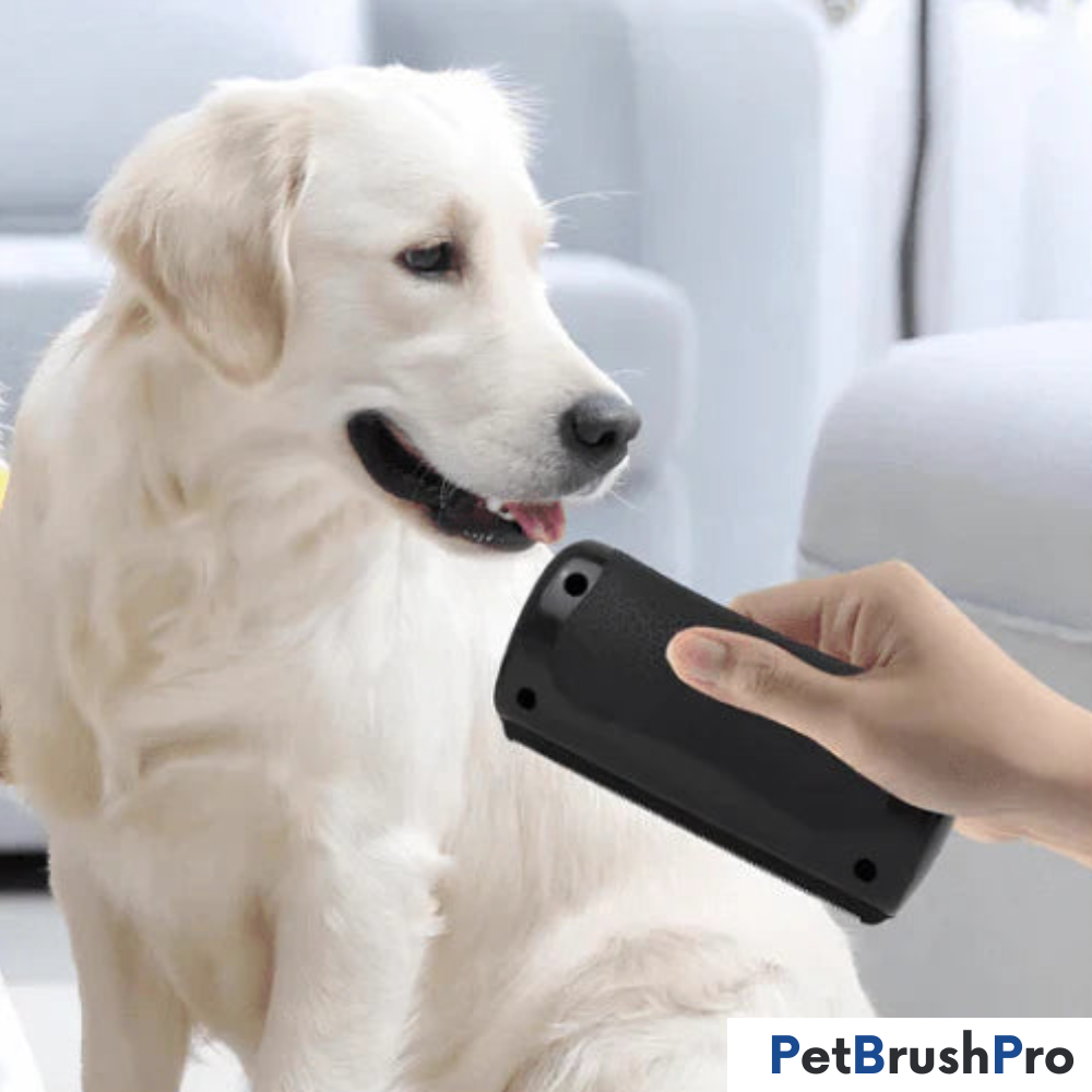 PetBrush™ Pro | Professionel Børste