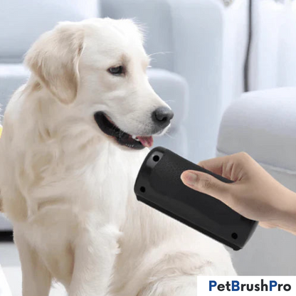 PetBrush™ Pro | Professionel Børste