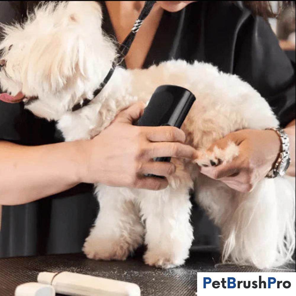 PetBrush™ Pro | Professionel Børste