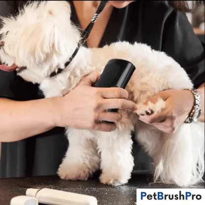 PetBrush™ Pro | Professionel Børste