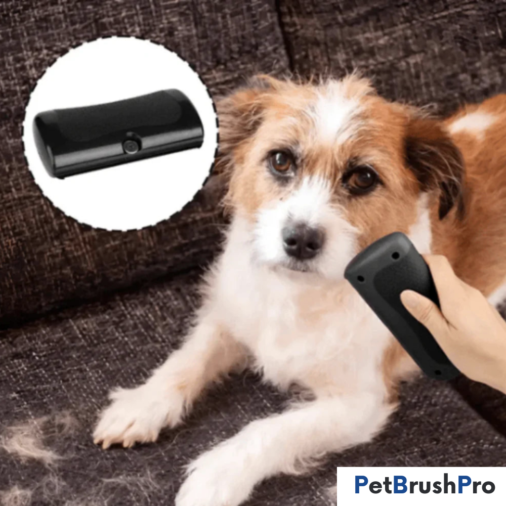 PetBrush™ Pro | Professionel Børste