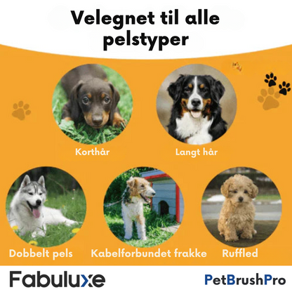 PetBrush™ Pro | Professionel Børste