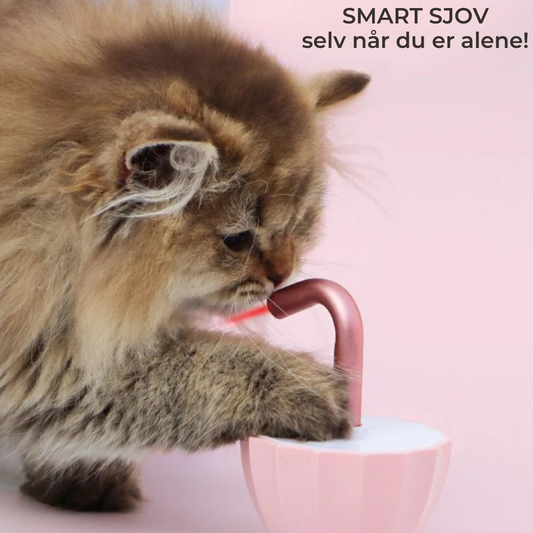 KittyBeam™ | Automatisk kattelegetøj med laser