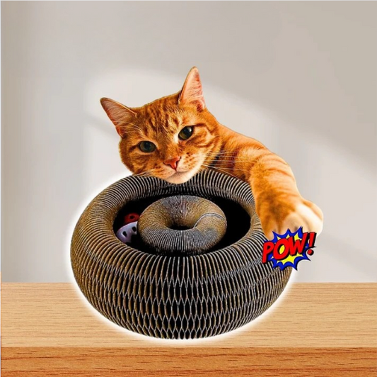 KittyCurl™ | Timevis af sjov for din kat!