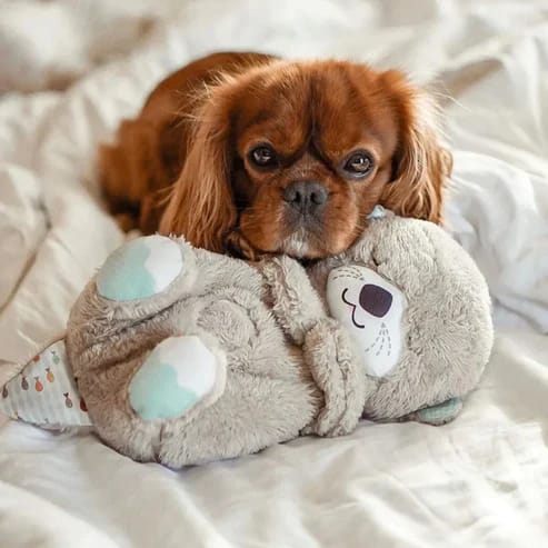 SleepBuddy™ | Odderen, der giver hvile og søvn